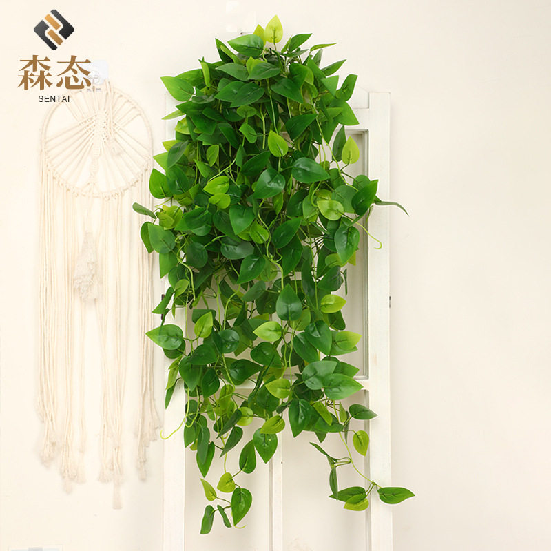 亚马逊仿真绿萝壁挂藤条假绿植装仿真植物盆景