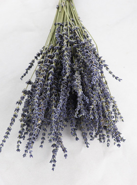 新疆薰衣草干花 亚马逊干花束紫色薰衣草装饰拍照道具