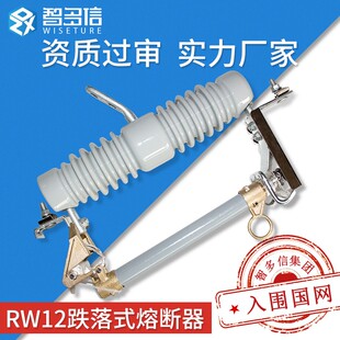 100跌落式 熔断器10kv灭弧户外柱上高压令克保险开关 RW12