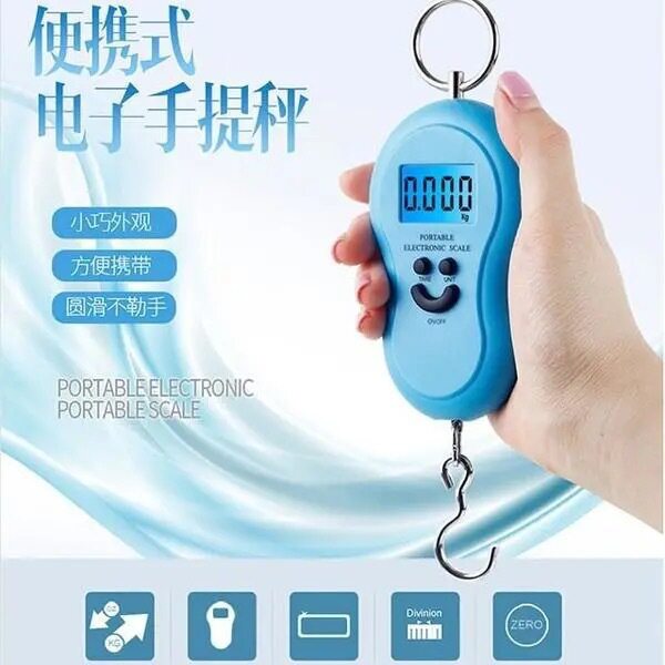 手提便携式电子秤高精度家用小型迷你称鱼弹簧行李快递买菜勾小称
