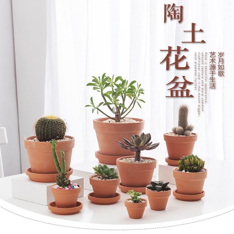 红陶花盆家用室内阳台绿植多肉