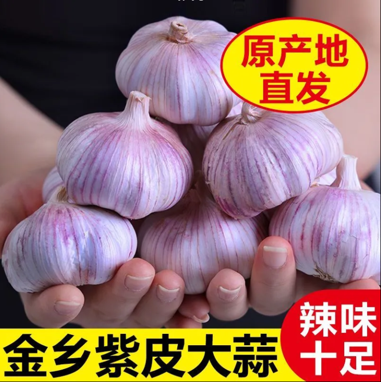 可吃可种植2023年新干蒜红皮大蒜