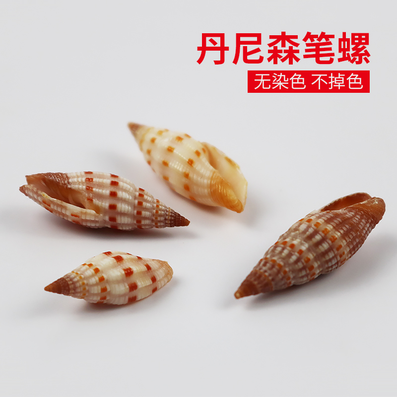 丹尼森水族diy材料收藏小海螺
