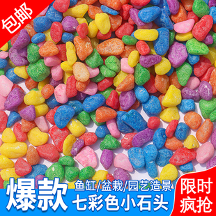 五彩石彩色小石头盆栽彩石子铺面园艺多肉水培鱼缸造景七彩石装 饰