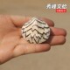 天然海螺贝壳秀峰文蛤稀有标本螺收藏鱼缸水族造景家居装 饰品