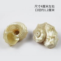 Около 4 см (диаметр около 1,2 см)