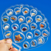 微贝画框高透亚克力格子贝沙相框天然迷你小贝壳海螺标本收藏礼盒