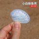 小白鲍鱼壳天然海螺白色贝壳鱼缸水族造景装 饰品家居摆件手工diy