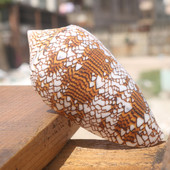 花瓶螺织锦芋螺天然海螺贝壳鱼缸装 螺贝艺 饰橱窗设计拍摄道具