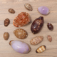 天然小海螺贝壳稀有宝螺标本鱼缸水族造景创意家居收藏摆件装 饰品