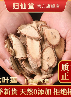 七叶莲中药材正品七叶藤鹅掌藤七加皮汉桃叶七叶烂鸭脚莲天然草药
