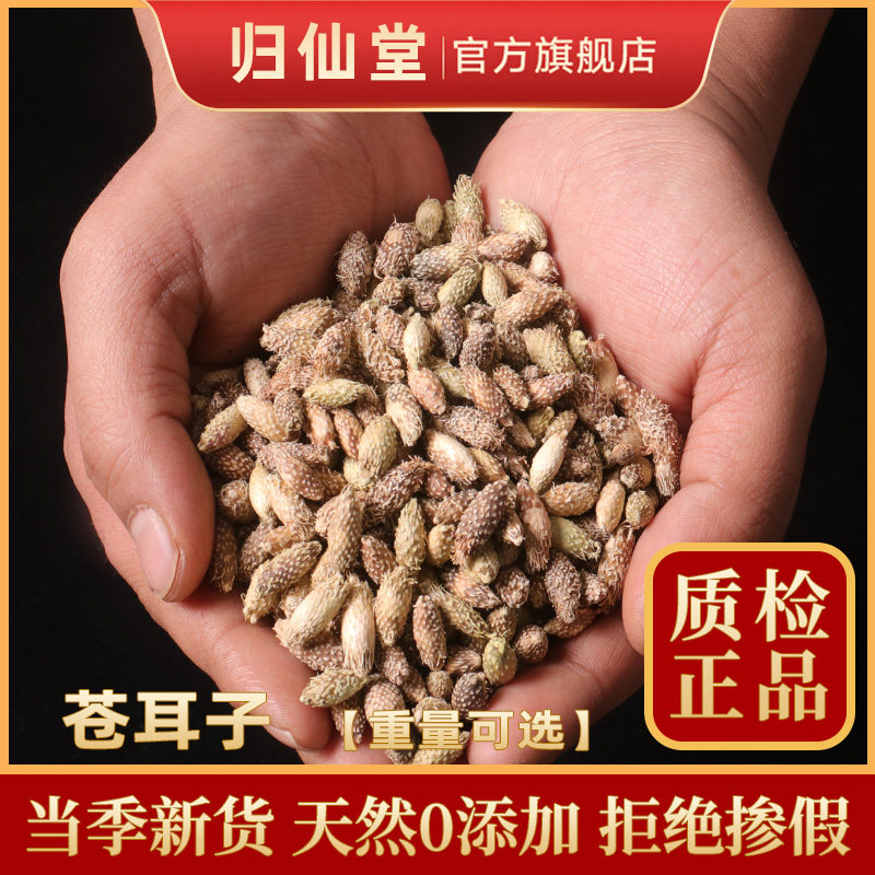 苍耳子500g克中药材正品茶非野生可磨粉新货老籽炒仓耳子去刺外用