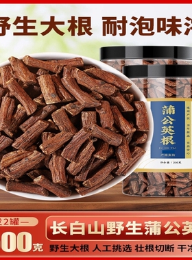 长白山蒲公英根茶中药材500g正品特级野生大根婆婆丁官方旗舰店