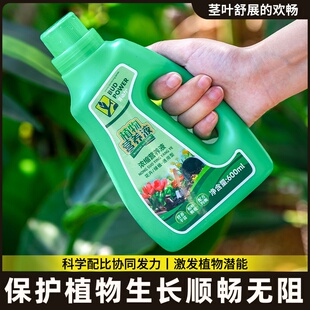 培生根肥料液液竹转运营养专用通用发财水植物竹竹营养养龙竹富贵