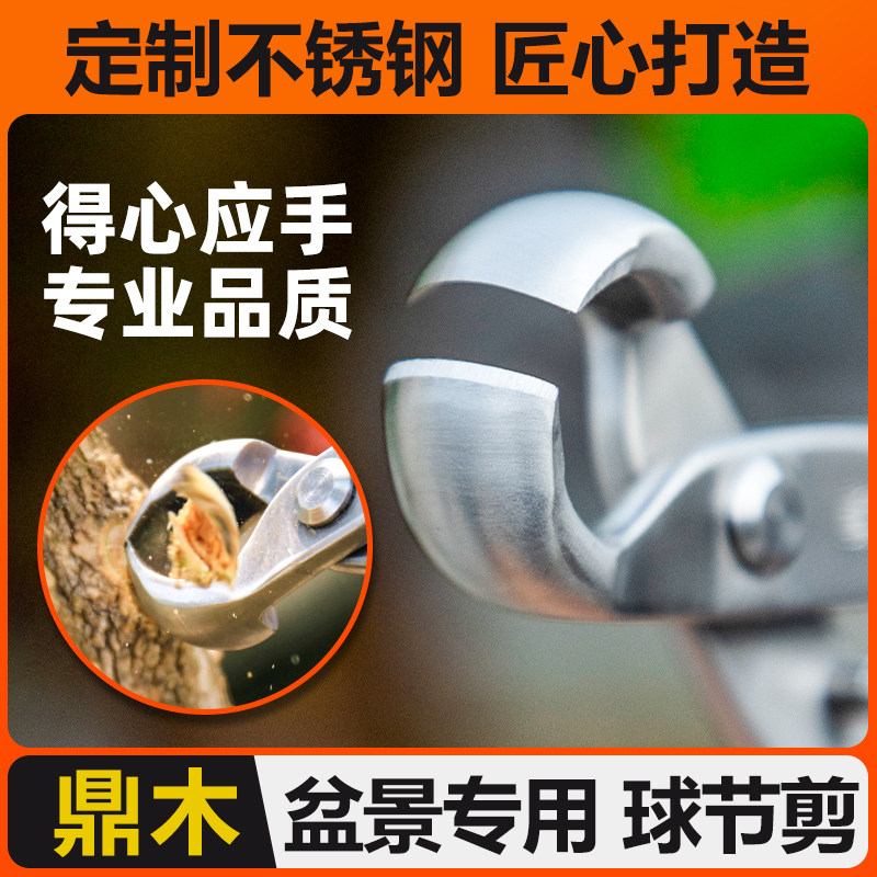 不锈钢制作盆栽树瘤工具木球钳钳造型盆景剪修剪养护园艺鼎球节图片
