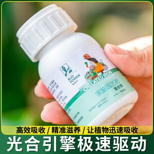 螯合铁通用补铁肥料铁亚硫酸盆栽黄叶花果树植物家用黄化病树发财