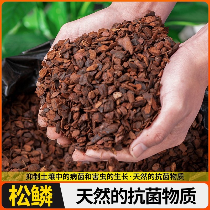 铁皮松栽培厂家直供抛光兰花发酵打磨树皮松鳞松种植基质石斛马尾,鲜花速递/花卉仿真/绿植园艺,介质/营养土,淘宝优惠券,粉丝福利购,淘宝优惠卷