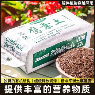 土君子兰兰花种植专用土腐正橡叶真树叶酸性东北松叶营养腐殖橡叶