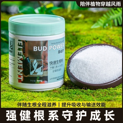 植物发根移栽通用粉蔬菜生根生根壮苗剂效力快果树花卉液扦插专用