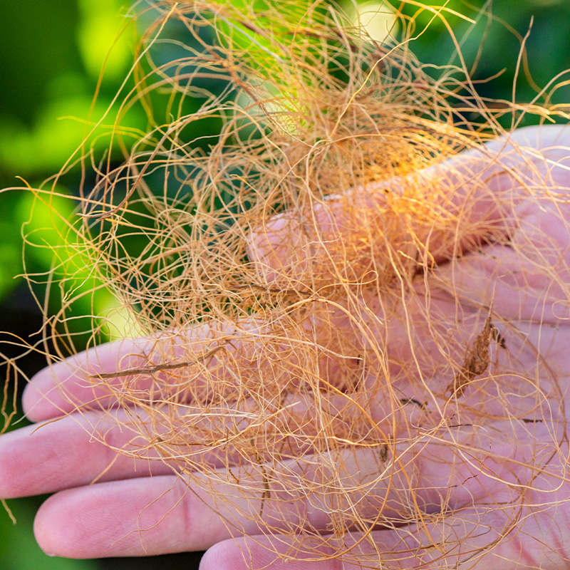 园艺盆栽装饰椰棕丝袋装美化花盆填充物铺面草椰丝铺垫耐用透气环