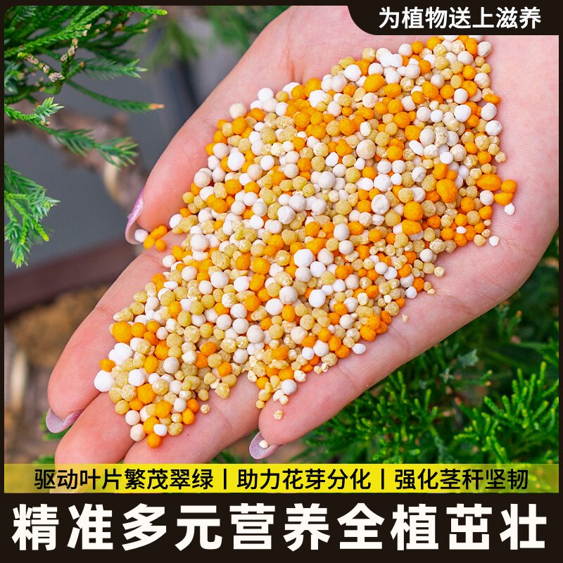 磷钾专用檬树合肥盆栽果树复通用柠檬肥料缓释安全树苗肥柠氮稳