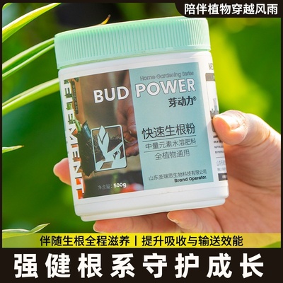 生根液生根粉剂水剂安全粉高效生根植物扦插专用壮苗快速通用生根