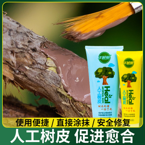 松柏杂木树木嫁接盆景封