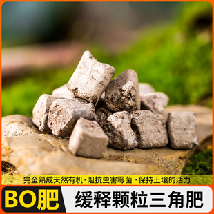 补三角均衡绿植缓释颗粒BO养分蔬果兰花氮杜鹃多元素松柏磷钾肥
