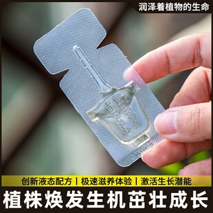 营养合肥肥水液专用液体有机复溶肥盆庭园肥料蓝莓叶面肥栽家种植