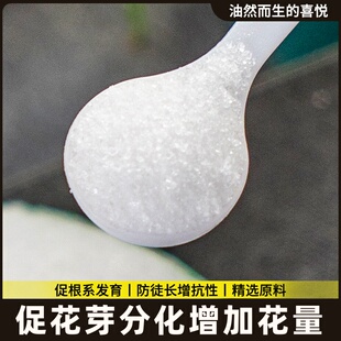 花专用促水磷酸花钾促果合肥养二肥料花卉氢复叶面溶肥肥花肥农用