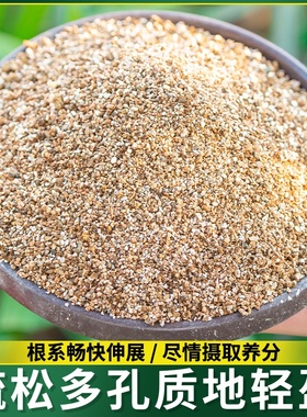 蛭石孵化乌龟蛭爬宠冬眠蜥蜴蛇颗粒专用石龟蛋孵化守宫垫材白色至