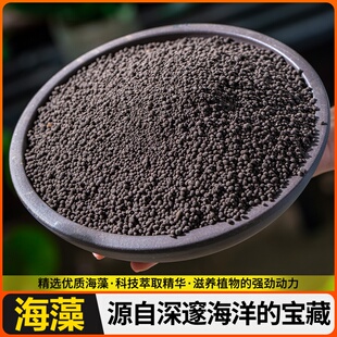 肥菌颗粒生物杆芽孢枯草肥微种植肥料肥料海藻专用菌精有机海藻