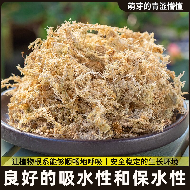 毛龟背七星栽透气乌培基苔藓毛虫土花烛育苗水苔水兰花保湿保湿苔