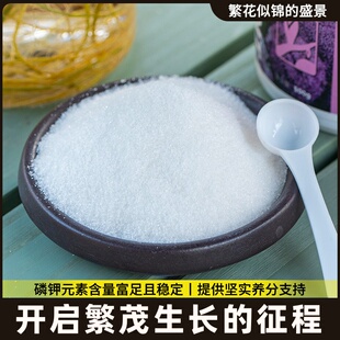 磷酸二酸性钾养料促花高效氢果液营肥黄叶硫酸亚铁肥料营养盆栽保