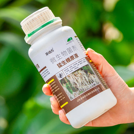 生根强力液移栽绿原液生根生根生根壮苗花卉植促扦插肉多猛果树剂