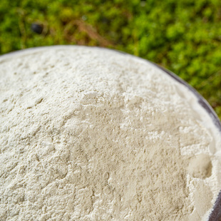 铁栀子花专用肥型茉莉花卉亚通用花肥硫酸杜鹃花花用铁补酸性肥料