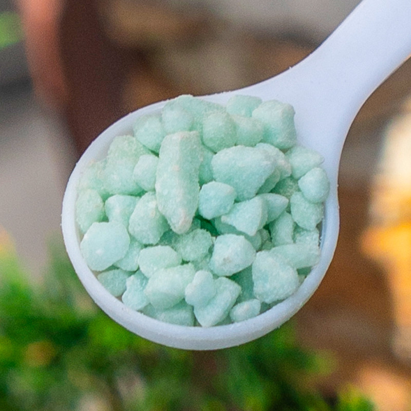 溶杜鹃肥防黄叶家用硫酸亚茶花植物喜酸铁桂花水花肥料花栀子米兰