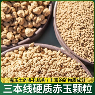 小叶簕竹沙土松树专用风专用盆景粗玉土化石簕竹河土赤竹子专用土