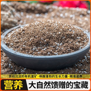 蔬菜土种菜阳台土中土土壤泥栽家庭种植专用土营养育苗有机土肥料