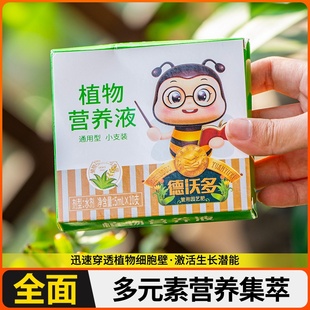 袖珍春羽竹芋花型椰子通用液营养金钻植物培棕竹水生安玛丽米竹水