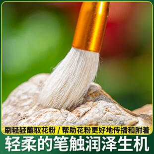 羊毛笔金箔银箔贴纯金纯银专用辅助工具扫箔扫金笔勾线笔绘画画笔
