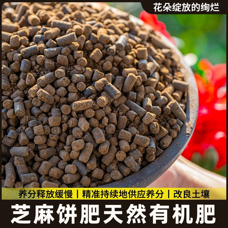 饼发酵豆有机盆栽好的芝麻营饼肥肥花卉饼肥腐熟月季菜籽养花通用图片