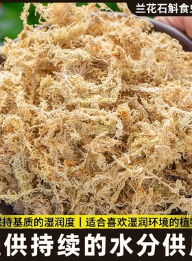 专用无菌兰花土蝶兰干冬眠垫苔土苔藓爬宠水苔青苔乌龟石斛蝴营养