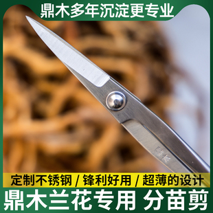 枝叶修剪插花分苗剪工具剪剪刀盆景制作修枝花鼎兰专用剪叶芽木小