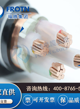 阻燃屏蔽铠装电力电缆ZA-YJVP2-22 3*16+1*10