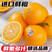 包邮 新鲜埃及南非进口橙子柳橙脐橙手剥甜橙5斤整件当季 水果批发