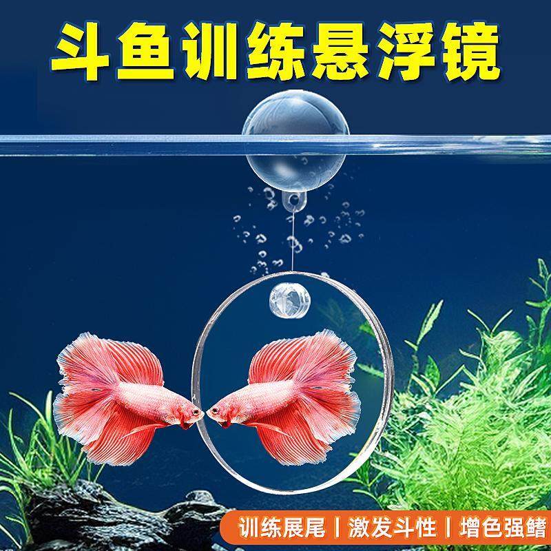 泰国斗鱼互动训练镜双面悬浮球展尾锻炼吸盘小型鱼缸内外造景镜子,宠物/宠物食品及用品,造景/装饰,淘宝优惠券,粉丝福利购,淘宝优惠卷