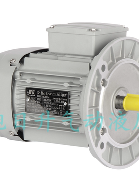 Hongjie弘捷三相异步电机马达TAIZHOU BODAO YE35624 0.09KW全新