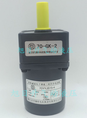 浙江佳雪JIAXUE齿轮减速三相异步电机70YYJS15-3减速箱70-GK-2