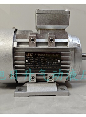 厂家直销Hongjie弘捷电机TAIZHOU BODAO MOTOR Y27124 0.37KW